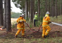 New recruits for fire crew