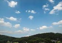 Have your say with RAA