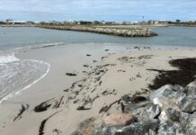 Fees not to be refunded