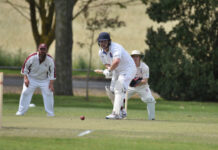 Eagles on song with bat and ball