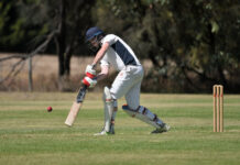 Roos take on the Rams