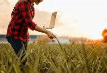 Search underway for emerging agriculture leaders