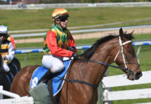 Will to win was apparent