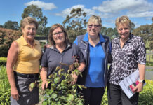 Wild weather lashes course