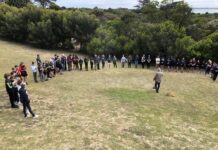 Year wraps up for YELP