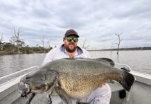 Rocklands produces Magic metre cod