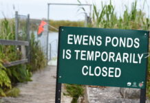 Ewens Ponds reopens for summer