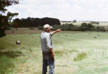 Challenging seasonal conditions drive down South Australian farmer confidence