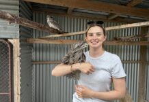 Wildlife lover turns to Wedge-tailed care