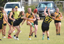 Silverware on offer at cross-border venue