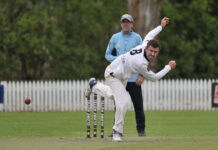 Demons and Roos resume battle on foreign soil