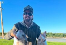 Cracking conditions make for fun fishing