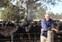 Mining study examined