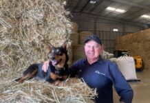 LocalAg to provide secure national platform for ag trading