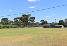 Fun day on the Green