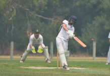 Cricketers play for Pink Stumps Day