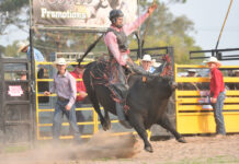 Bucking and barrels