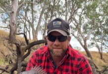 Smorgasbord on offer