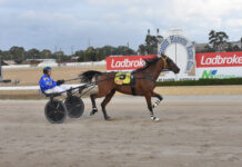 Financial boost for Gold Cup