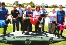 Top start to the year for Cadillac Racing