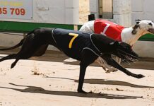 Six in a row for Anna