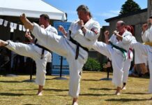 2025 Bay Festival Allendale East Karate Demonstration