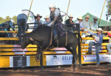 Penola Rodeo action