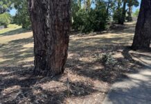 One down, three to go