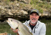 A bit of everything on offer