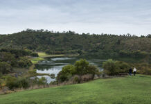 City Council By-Law review