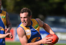 Eagles set to soar again