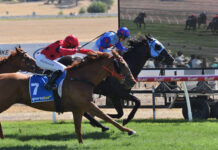 Final of series to be run here