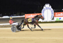 Warhorse scores overdue cup win