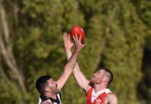 Roosters hit the ground running