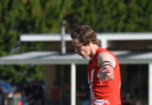 Tigers roar at Kongorong