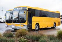 New buses to hit Limestone Coast roads
