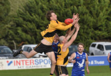 Tigers claim points at home