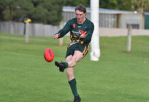 Mozzies sting the Hawks’ home game