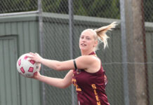 Murphies stretch their legs