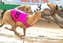 Harris holds strong hand in Autumn Classic final