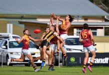 Big scores from KNTFL Round 4