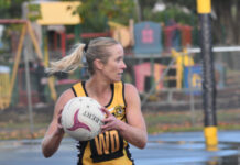 Tigers keep momentum rolling