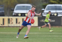 Cats claw their way to second spot