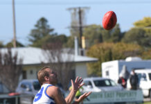 Quality match-ups on cards for LCFNL