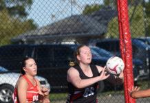 Millicent stands tall against South