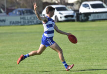 Cats climb to second place