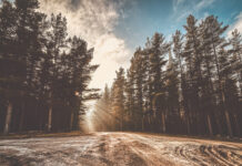 Barker photo competition