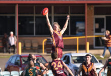 Murphies shoot ahead from the Mozzies