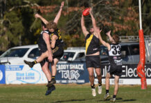Magpies claim first win against Hawks
