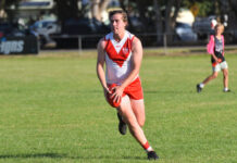 Roosters swat the Mozzies